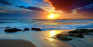 Meet your Posher, Brenna